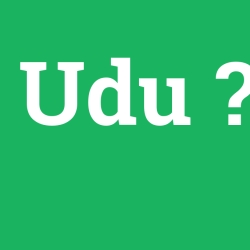 Udu