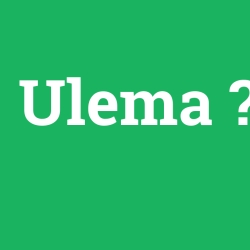 Ulema foto galeri