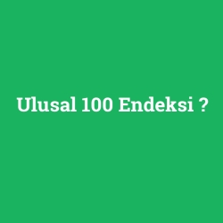 Ulusal 100 Endeksi