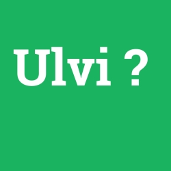 Ulvi