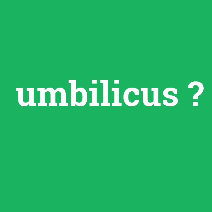 umbilicus, umbilicus nedir ,umbilicus ne demek