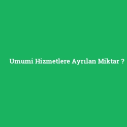 Umumi Hizmetlere Ayrılan Miktar foto galeri