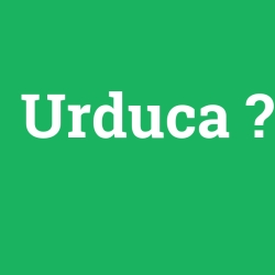 Urduca