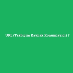 URL (Tekbiçim Kaynak Konumlayıcı) foto galeri