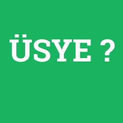 ÜSYE