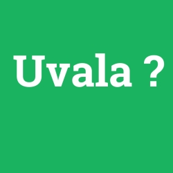 Uvala