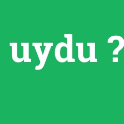 uydu