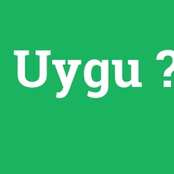 Uygu foto galeri