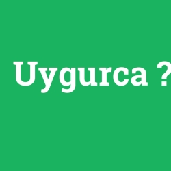 Uygurca