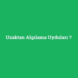 Uzaktan Algılama Uyduları