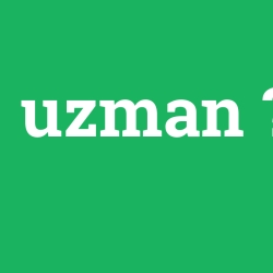 uzman