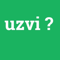 uzvi