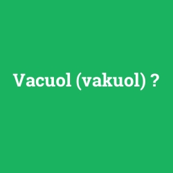 Vacuol (vakuol) foto galeri