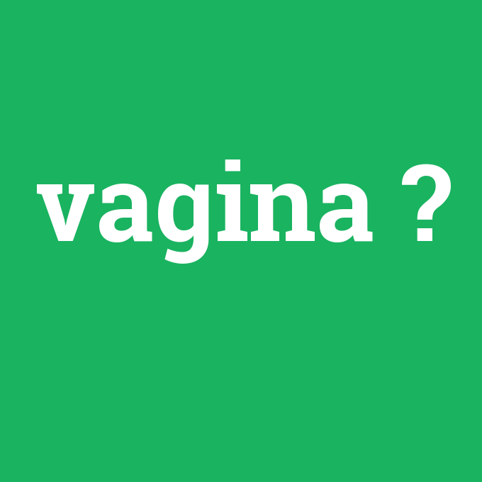 vagina, vagina nedir ,vagina ne demek