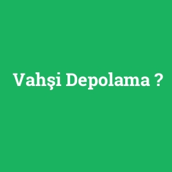 Vahşi Depolama