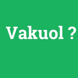 Vakuol