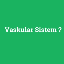 Vaskular Sistem foto galeri