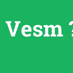 Vesm foto galeri