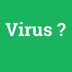 Virus