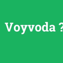 Voyvoda
