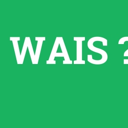 WAIS