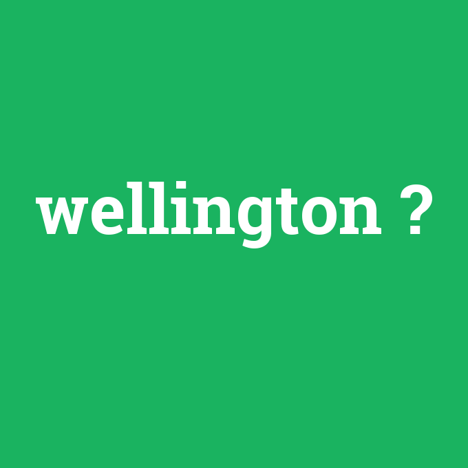 wellington, wellington nedir ,wellington ne demek
