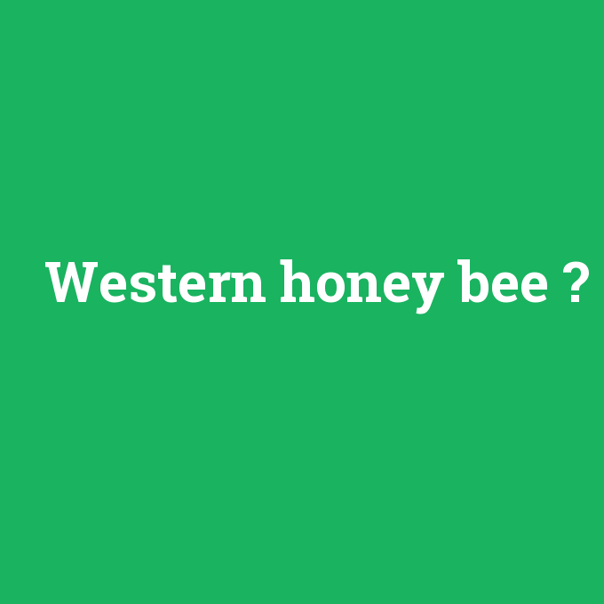 Western honey bee, Western honey bee nedir ,Western honey bee ne demek