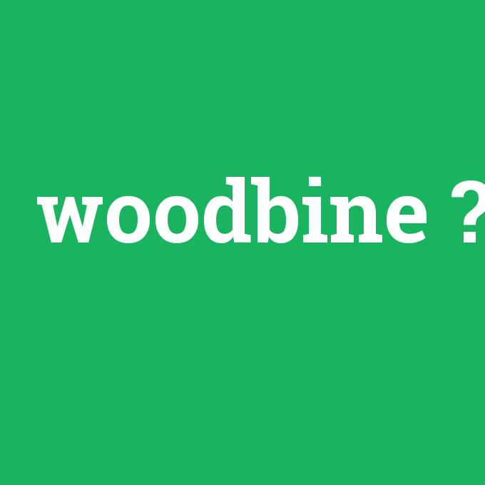 woodbine, woodbine nedir ,woodbine ne demek