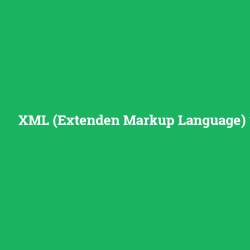 XML (Extenden Markup Language)