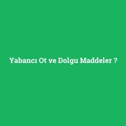 Yabancı Ot ve Dolgu Maddeler