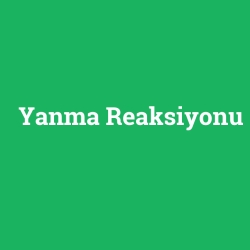 Yanma Reaksiyonu