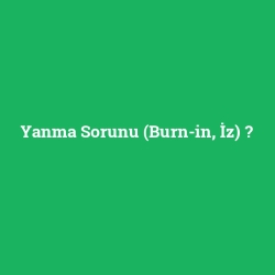 Yanma Sorunu (Burn-in, İz)