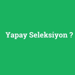 Yapay Seleksiyon