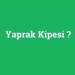 Yaprak Kipesi