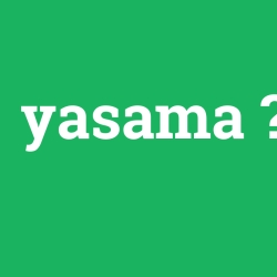 yasama