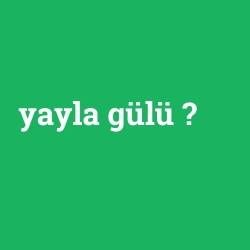 yayla gülü foto galeri