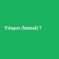 Yılaşırı (bienal)