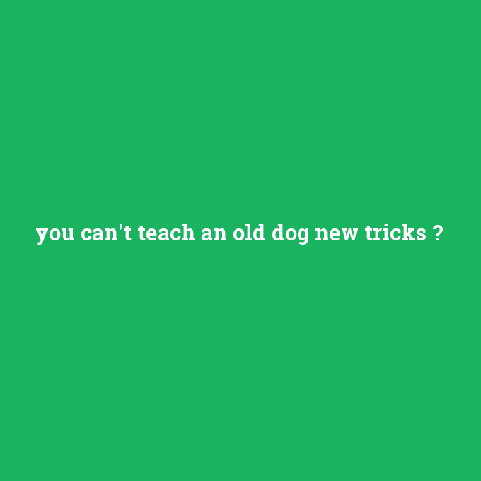 you can't teach an old dog new tricks, you can't teach an old dog new tricks nedir ,you can't teach an old dog new tricks ne demek