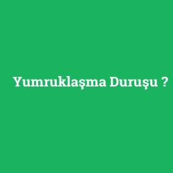 Yumruklaşma Duruşu foto galeri