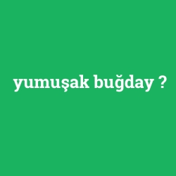 yumuşak buğday