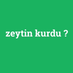 zeytin kurdu