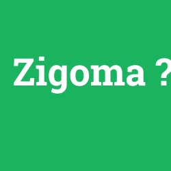 Zigoma