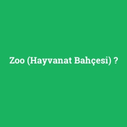 Zoo (Hayvanat Bahçesi)