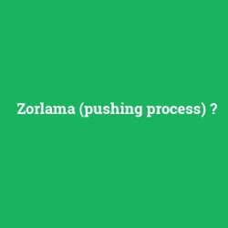 Zorlama (pushing process)