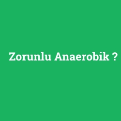 Zorunlu Anaerobik